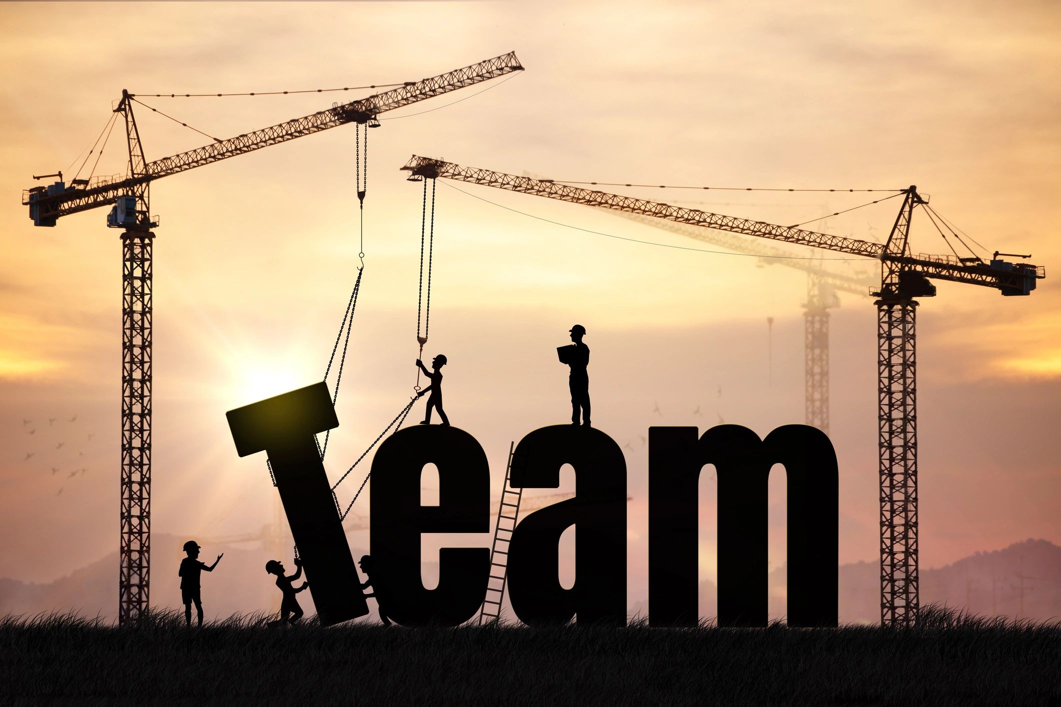 construction business team